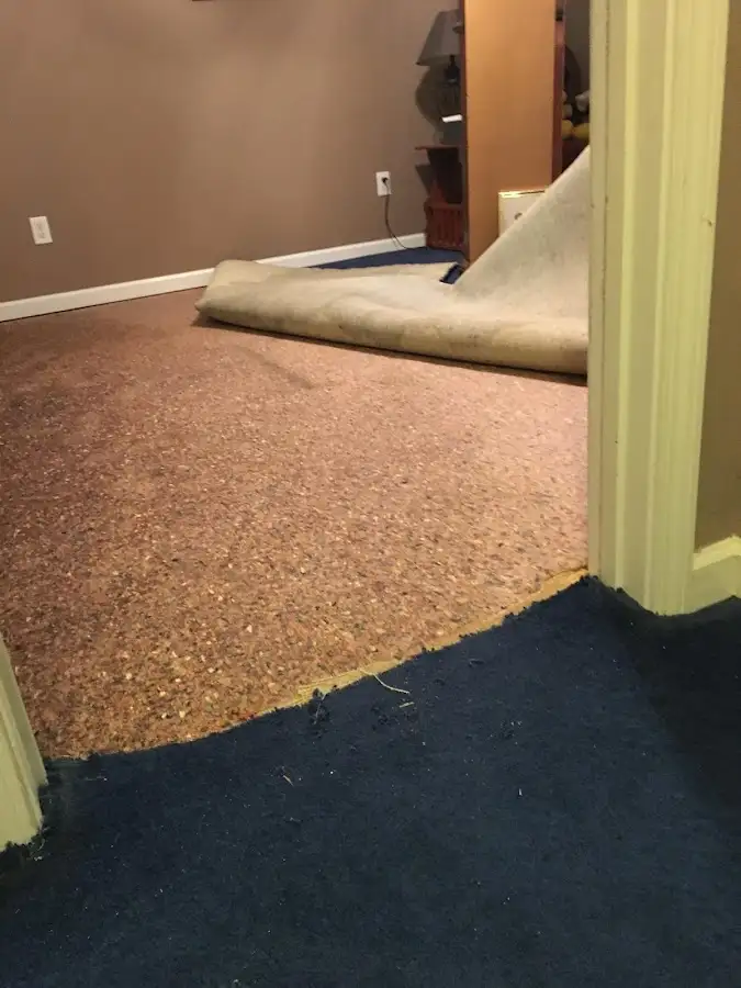 Carpet pad removal revealing water damage during Drying & Dehumidification in Montrose