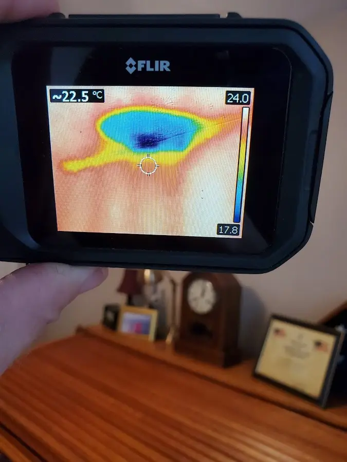 Thermal imaging inspection for water damage in Montrose